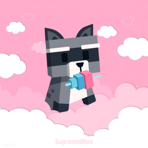 Raccoon